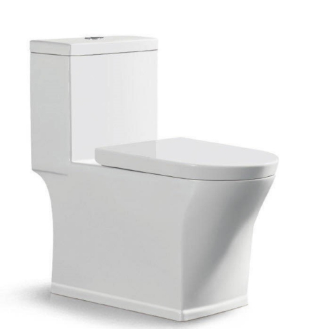 Bệt vệ sinh liền khối W871